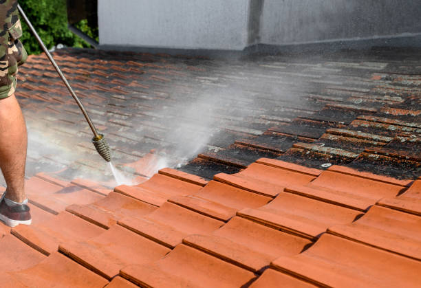 Best Pressure Washing Company Near Me  in Kenedy, TX