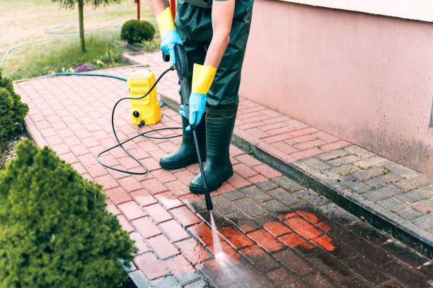 Best Pressure Washing Driveway  in Kenedy, TX