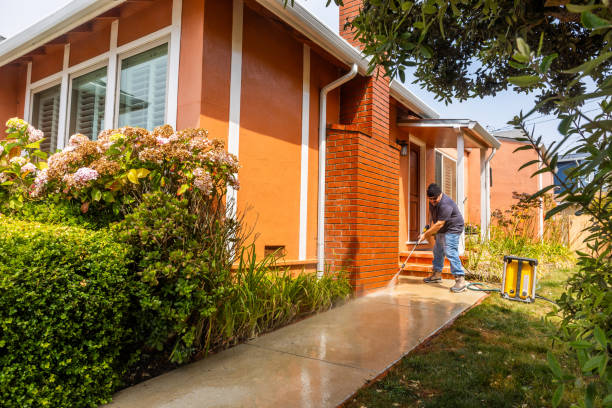 Best Roof Power Washing Services  in Kenedy, TX