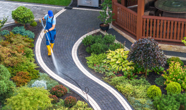 Best Pressure Washing Near Me  in Kenedy, TX