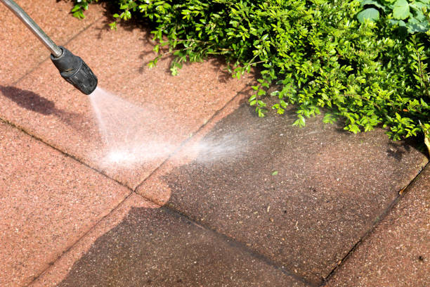 Best Exterior Home Cleaning  in Kenedy, TX